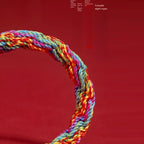 2026 Natal Year Thangka Tibetan Hand Rope Dragon Amulet Bracelet Twelve Zodiac Tai Sui Red Rope Charm